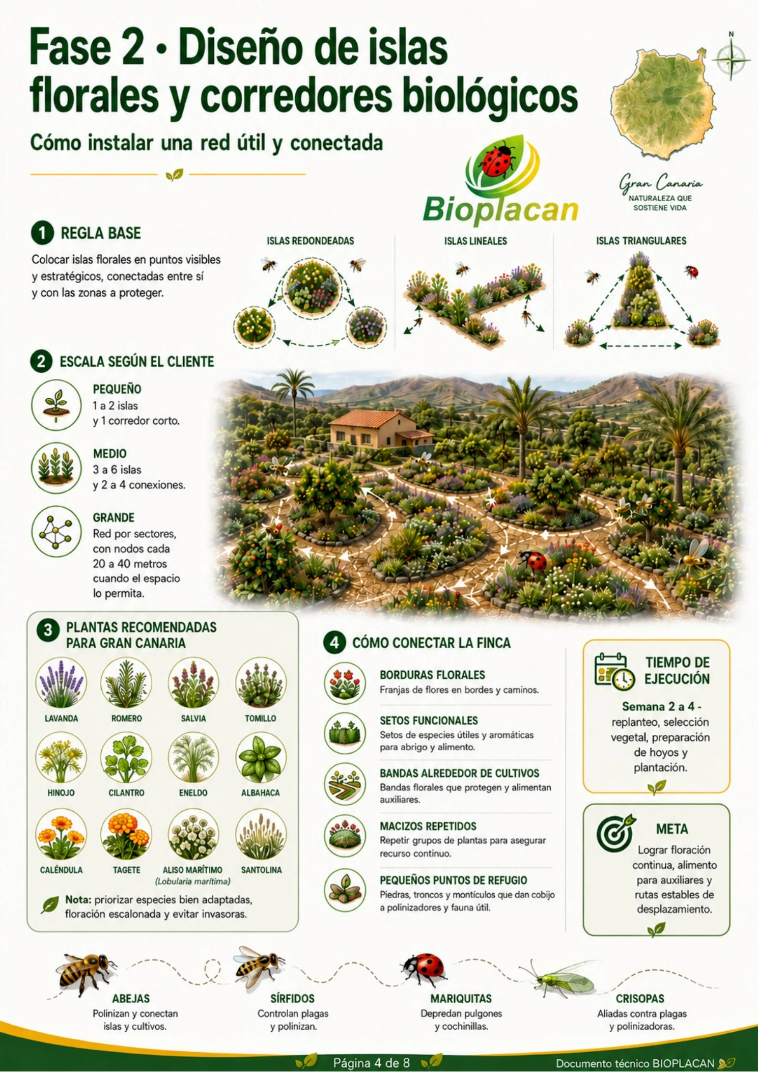Diseño de islas florales y corredores biológicos para control ecológico de plagas en Gran Canaria
